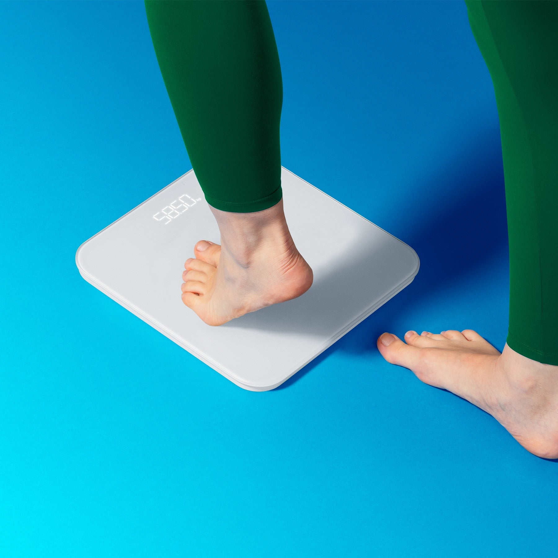FitScale White
