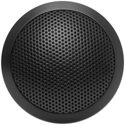 VOICE Call