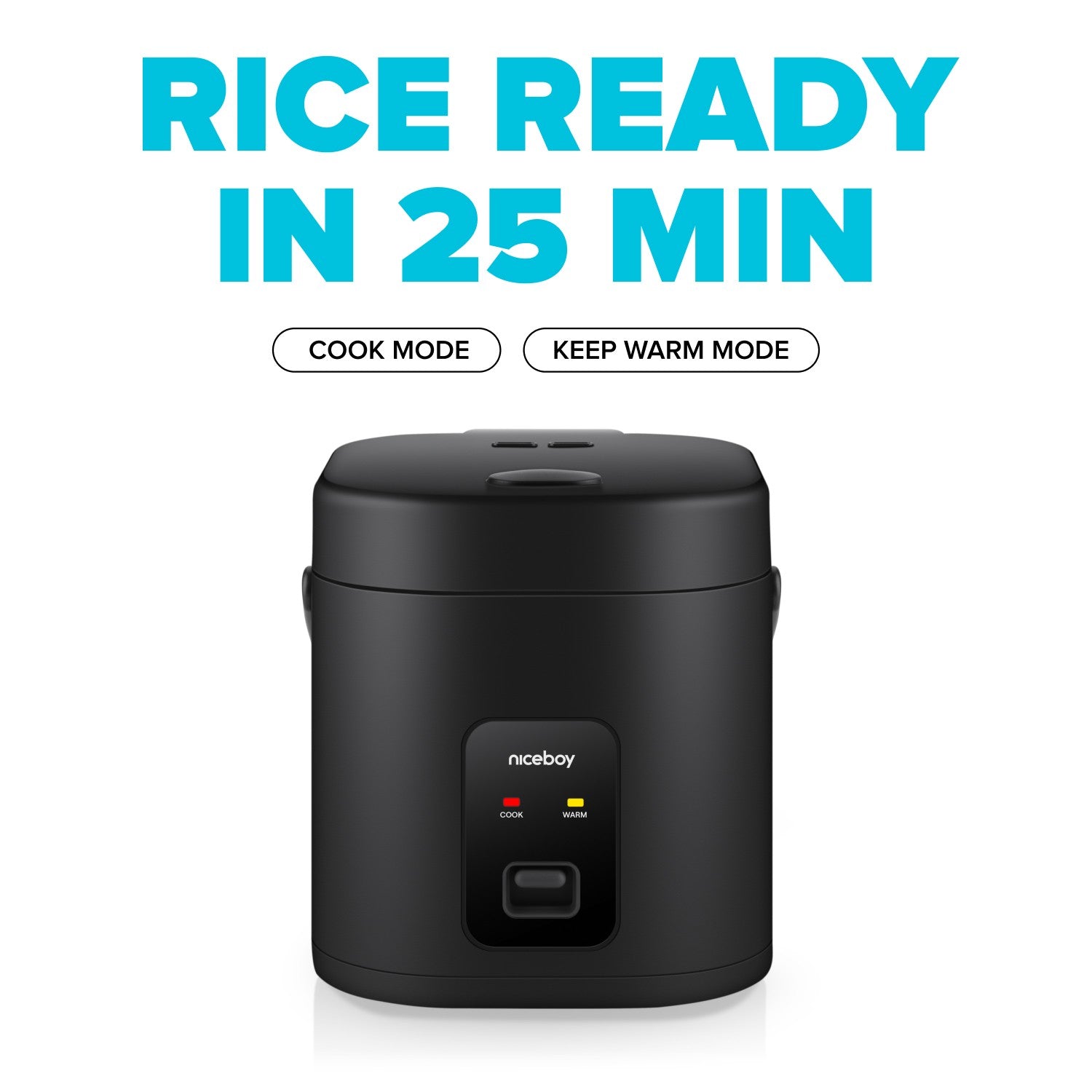 ion-ricecooker-pop-layout-2_LYT