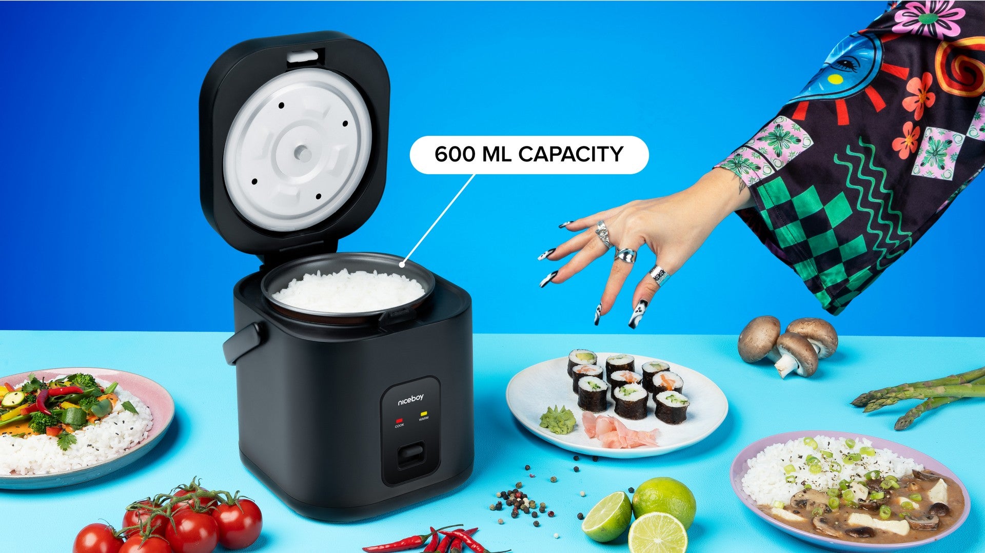 ion-ricecooker-pop-layout-3_LYT
