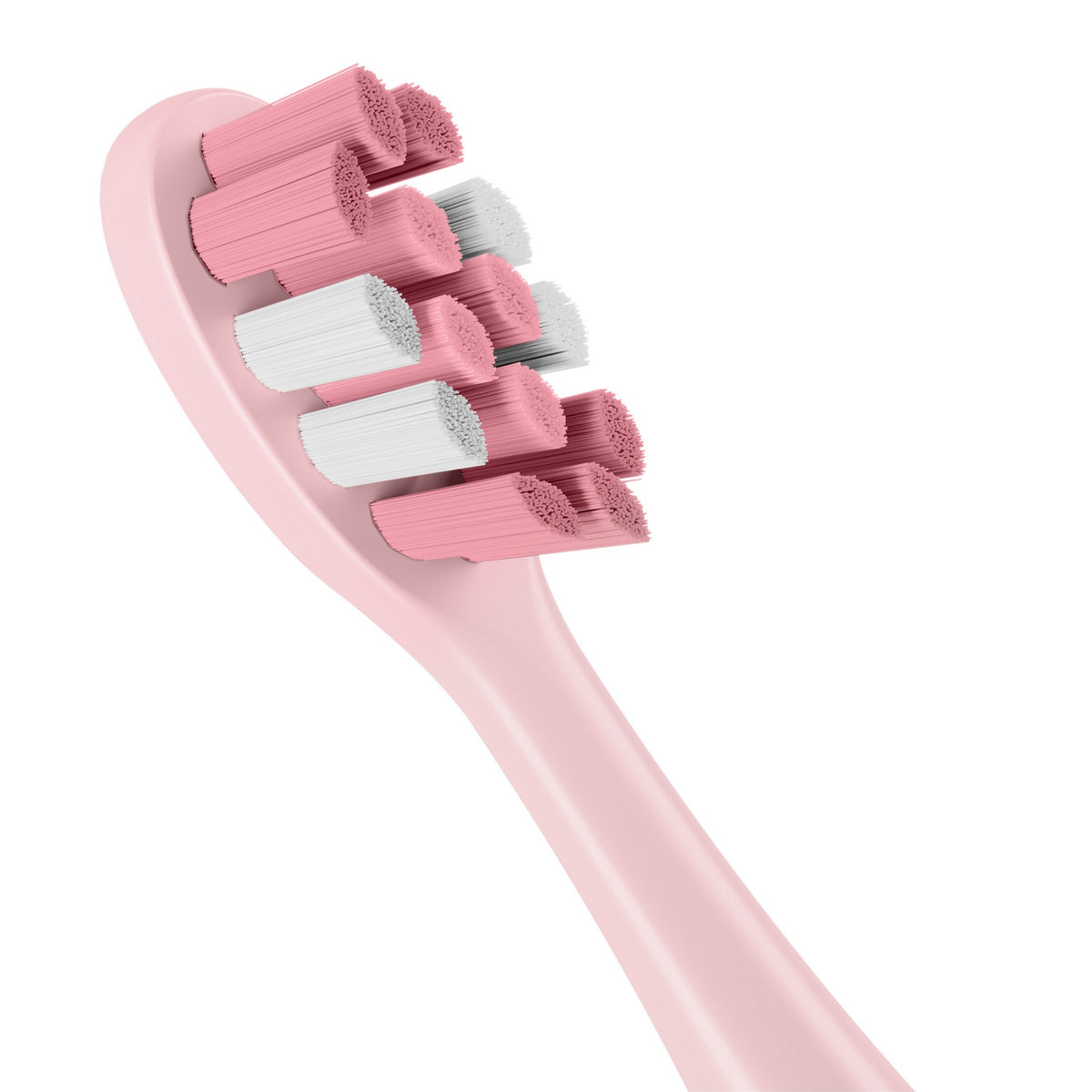 Sonic Pink