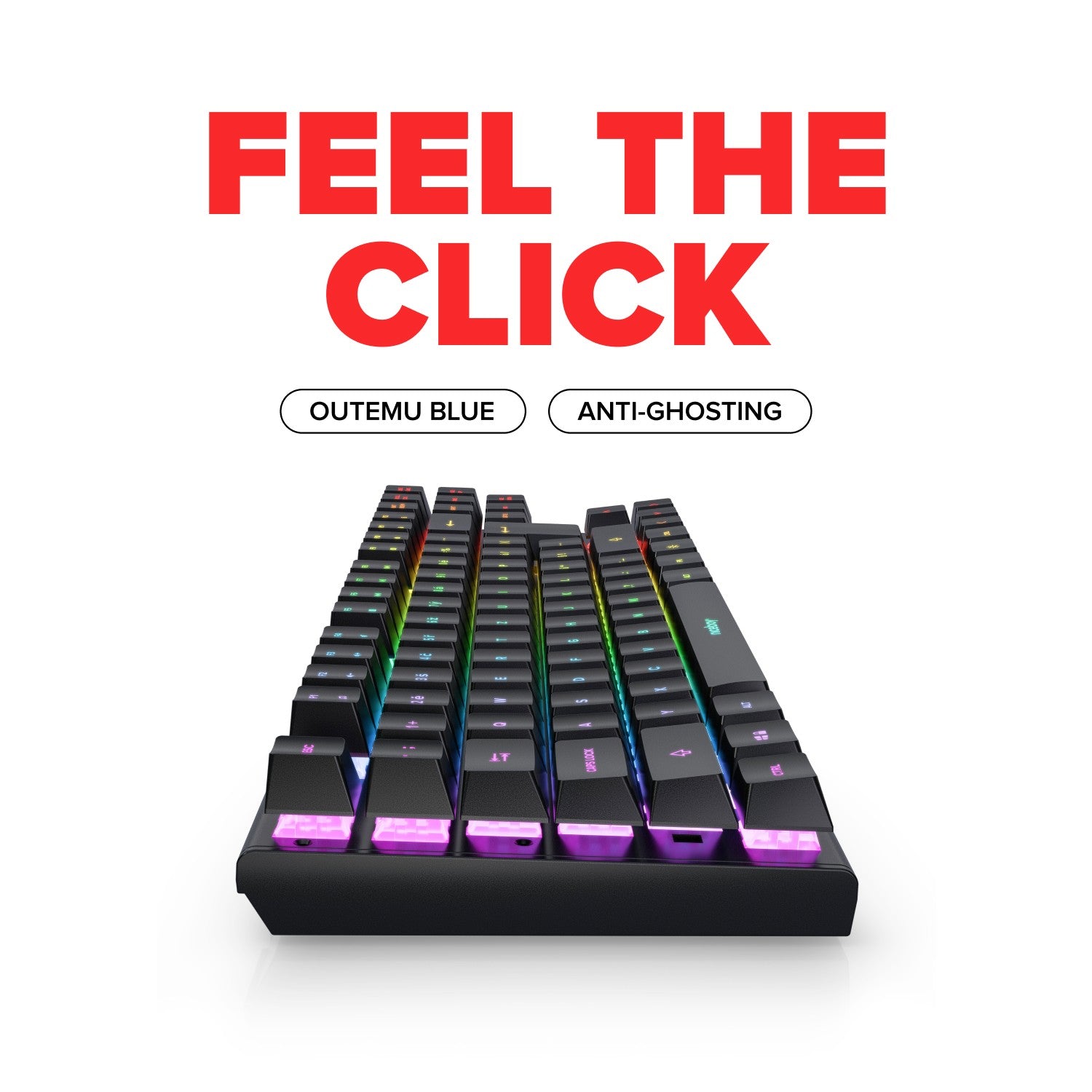 k310x-layout-02