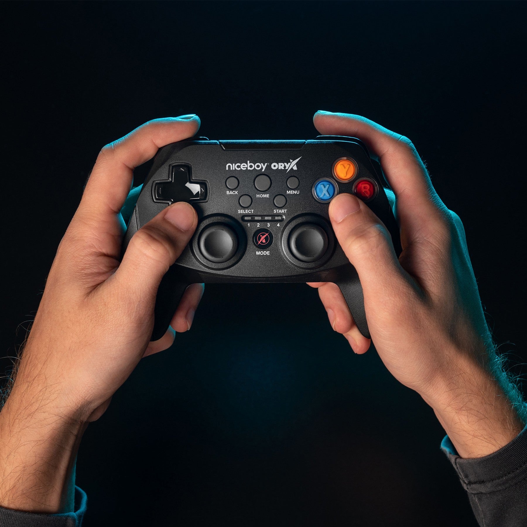 Game Pad