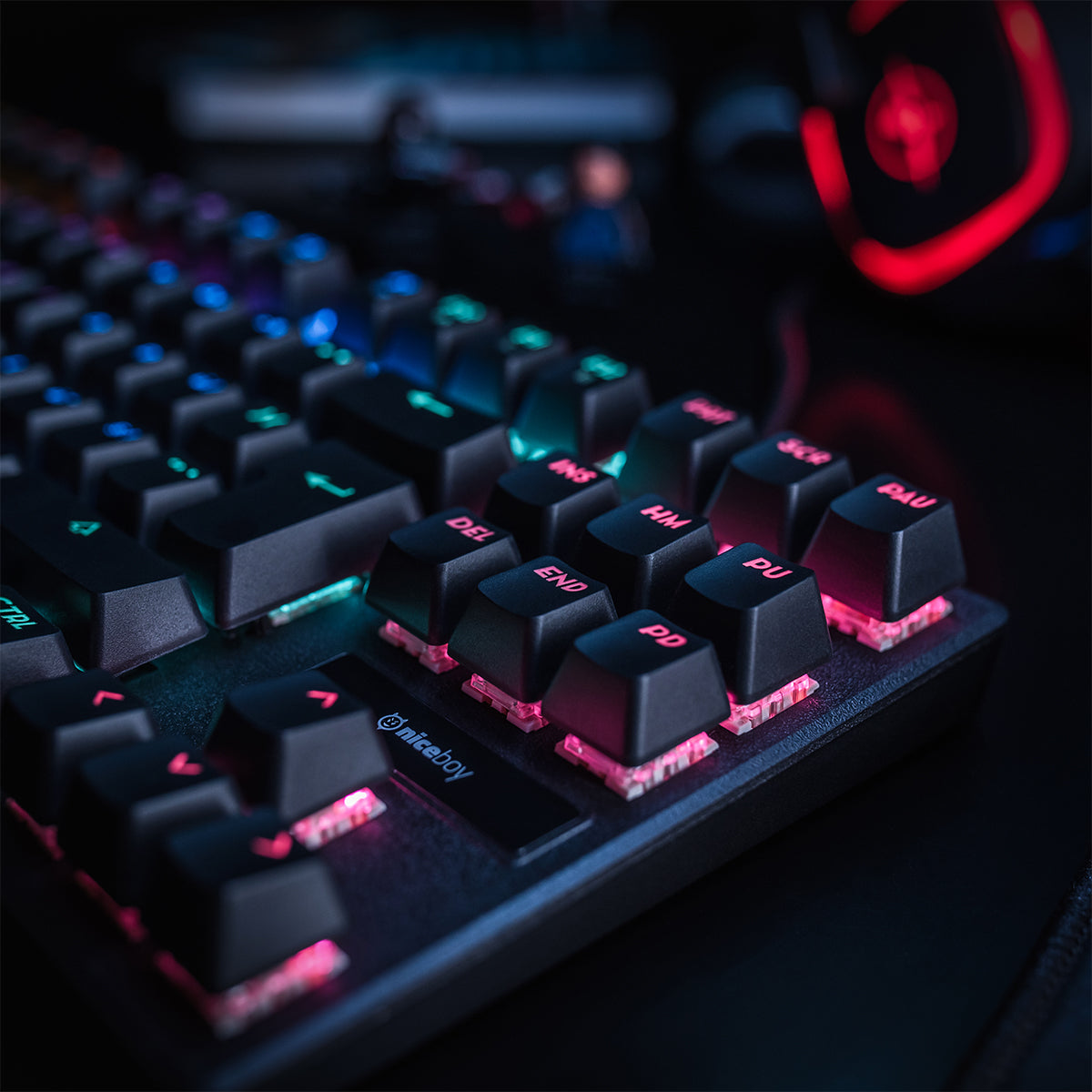 oryx-k300x-layout-03