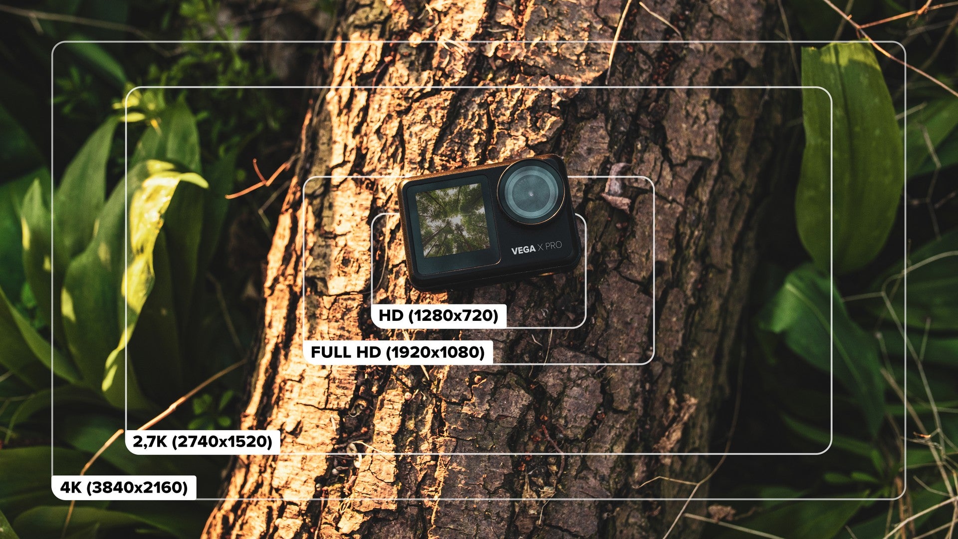 vega-x-pro-layout-2022-02