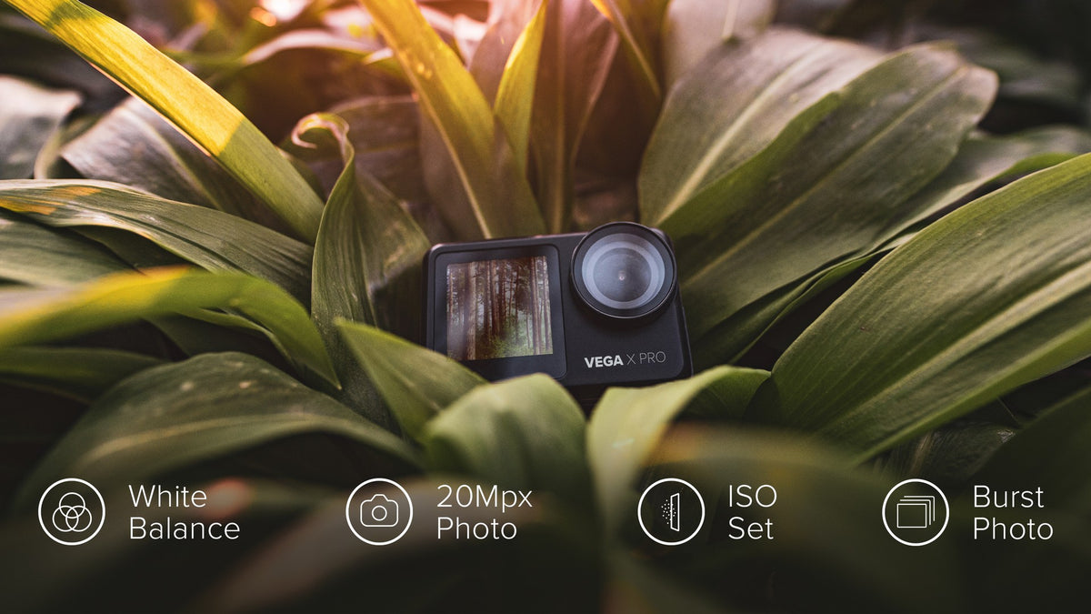 vega-x-pro-layout-2022-04